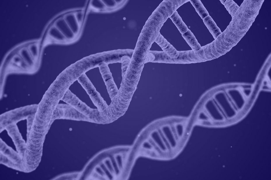 Polygenic risk score (PRS) assessment